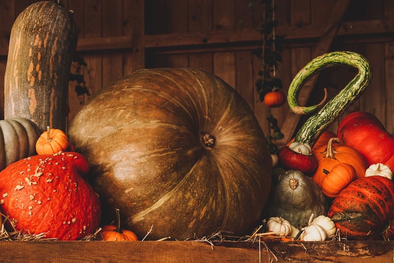 Fall Harvest Dishes