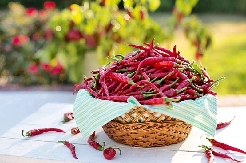 Chili Peppers